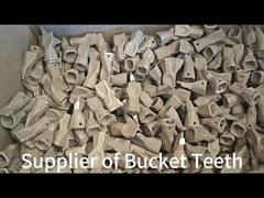 bucket tooth in site